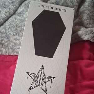 Black Velvet Coffin Mirror